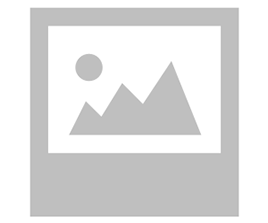 Grilled Pork Patties